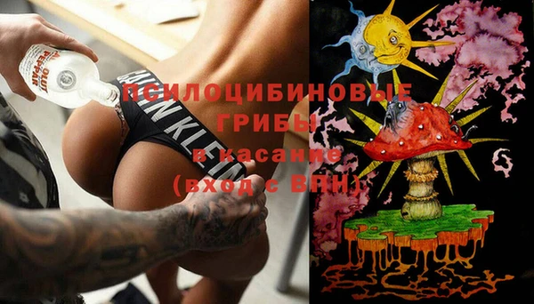 a pvp Сясьстрой