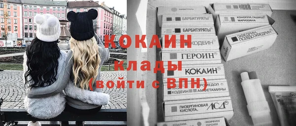шишки Вязьма