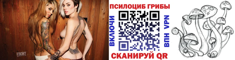Псилоцибиновые грибы прущие грибы  Калач-на-Дону 